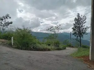Land for Sale Nuwara Eliya Road