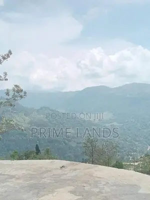 Land for Sale Pundaluoya
