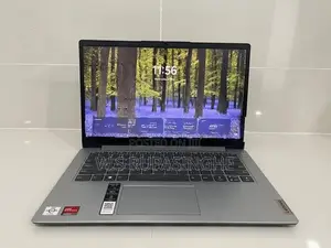 Lenovo AMD Athlon Silver