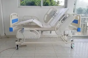 Five Function Electric Bed