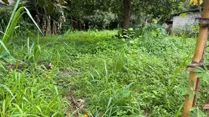 24 Perch Land for Sale in Gampola