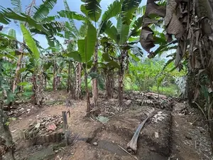 Land for Sale in Horana