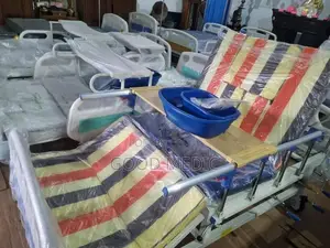 Four Function Manual Beds with Sanitory