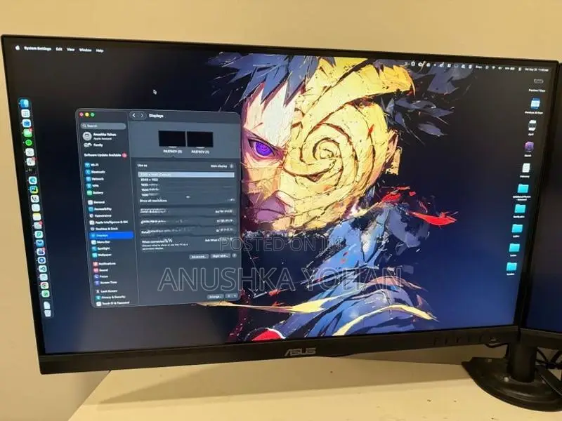 Dual Asus Proart 27" 2K Monitor