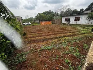 Land For Sale Dompe (kapugoda - malinda)
