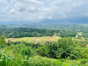 Scenic Land for Sale – Matale