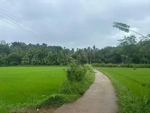 Land For Sale In Mawanella
