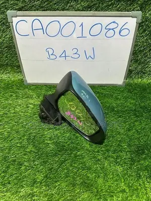 Nissan Days (B43W-2024/Camera) Side Mirror