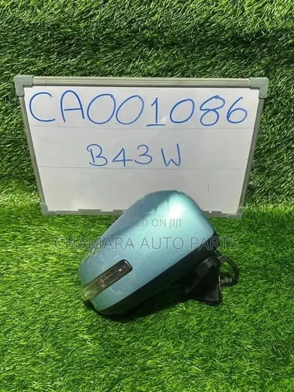 Nissan Days (B43W-2024/Camera) Side Mirror