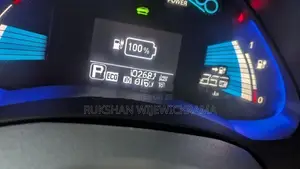 Nissan Leaf 2013