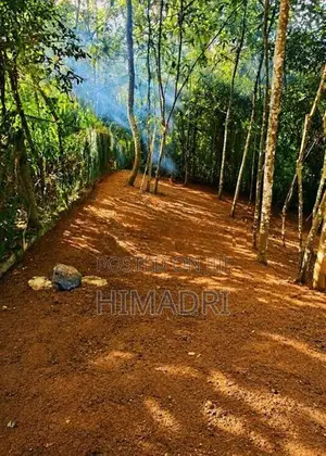 Valuable Land for Sale Near Peradeniya
