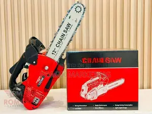 Petrol Chain Saw Cs2500 12"