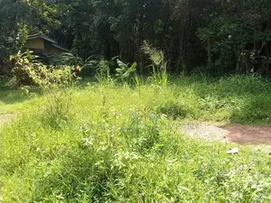 Yakkala Kalagedihena Land for Sale