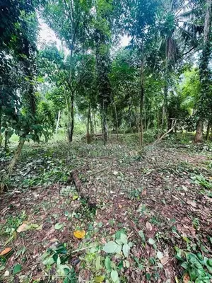 මිනුවන්ගොඩ නගරයට ආසන්නයෙන් ඉඩමක්