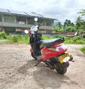 Hero Pleasure 2015