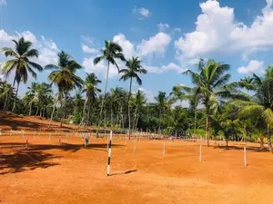 Pasyala Land for Sale P7