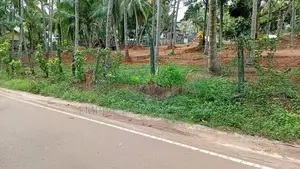Land for Sale in Kandana Limit Walking Distance to Main Bus Route