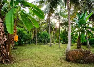 ගම්පහ-වැලිවේරියට ඉතා ආසන්නව "පර්චස් 58" ක වටිනා ඉඩමක් විකිණීමට