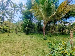 ගම්පහ පර්චස් 38 බිම් කොටසක්