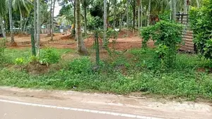 Land for Sale Negombo Main Road – Kandana Batagama