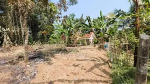 යක්කල නගරයට ඇවිද යන දුරින්