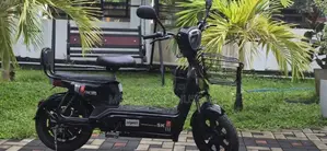 Electric Bike 2025