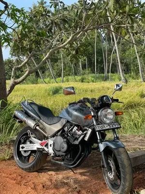 Honda Hornet 250 2004