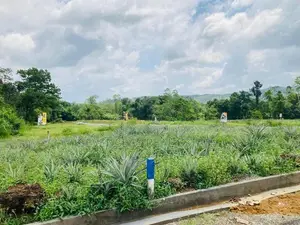 ඇහැලියගොඩින් ඉඩමම