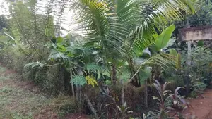 කහතුඩුවෙන් අගනා ඉඩමක්