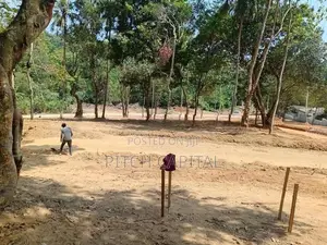 Wonderful Beach Front Land Plot Midigama