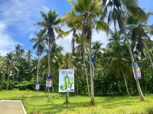 Mirigama නගරයට ආසනයෙන් බිම් කොටසක් විකිනීමට