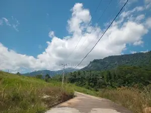 Land for Sale Deltota