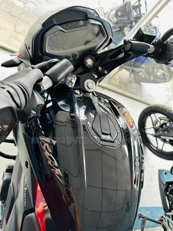 Bajaj Pulsar NS200 Dual ABS EFI New 2026
