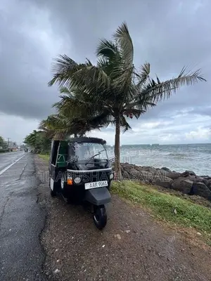 Piaggio Ape 2015