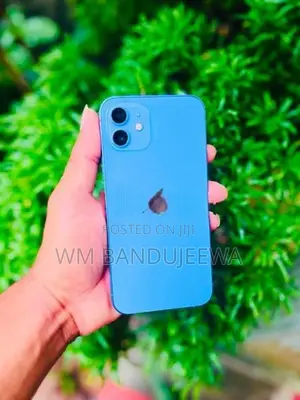 Apple iPhone 12 (Used)