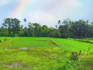 Superb Residential Land for Sale in Dambadeniya P8