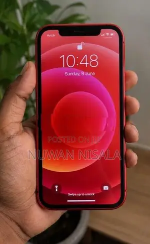 Apple iPhone 12 (Used)