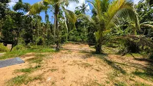 යක්කල නෙල්ලිගහමුල පර්චස් 24 ඉඩම විකිණීමට