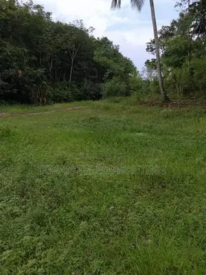 Land for Rent in Dompe