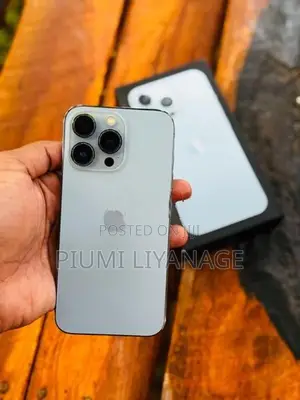 Apple iPhone 13 Pro 256GB (Used)