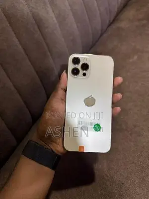 Apple iPhone 12 Pro Max (Used)