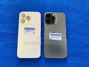 Apple iPhone 13 Pro 256GB (Used)