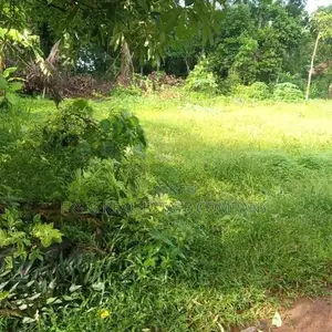 Yakkala Kalagedihena Land