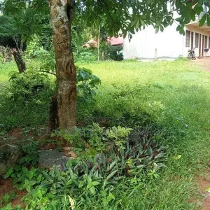 Yakkala Kalagedihena Land for Sale