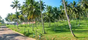නාරම්මල අඩුවට ඉඩමක් විකිණීමට