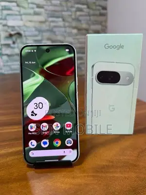 Google Pixel 9 12GB 128GB (Used)