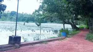 Land for Sale in Minuwangoda