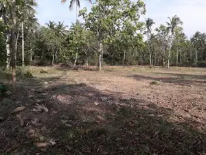 සුන්දර වටපිටාවක පිහිටි ඉඩමක් මහව