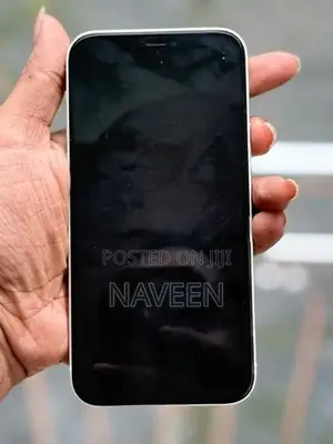 Apple iPhone 12 (Used)