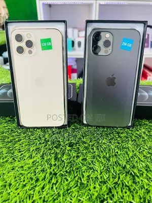 Apple iPhone 12 Pro 256GB (Used)